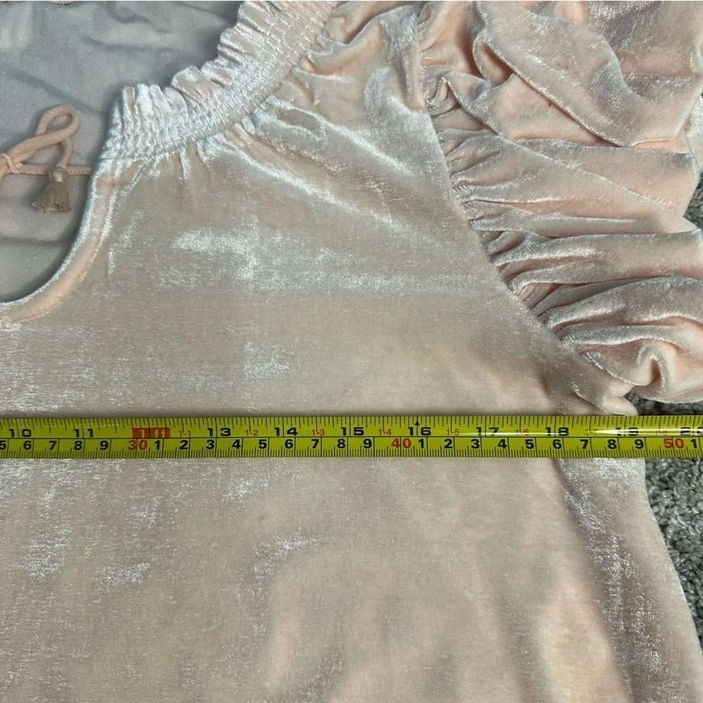 Free People Terese Velvet Top XS velour light pink ruffle puff smock Tee
